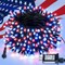 MYGOTO Red White and Blue String Lights,33FT 100LED 4th of July Patriotic Fairy Lights Outdoor Waterproof,8 Modes Memory UL Plug Independence Day Light for Home Party Holiday Tree Xmas Decoration